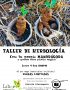 Taller de magia. Herbología