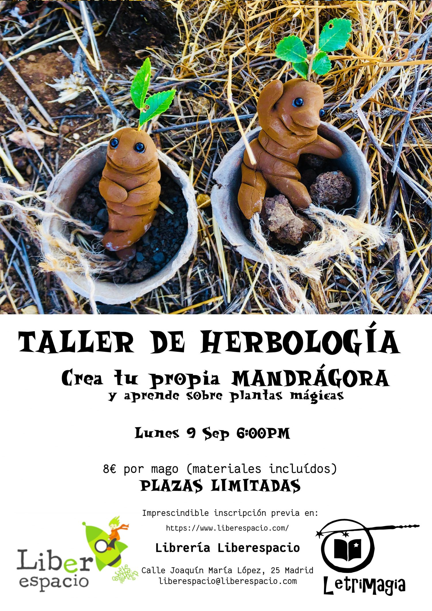 Taller de magia. Herbología