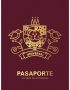 Pasaporte. Un libro de actividades