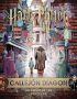 J. K. ROWLING’S WIZARDING WORLD: CALLEJÓN DIAGON.