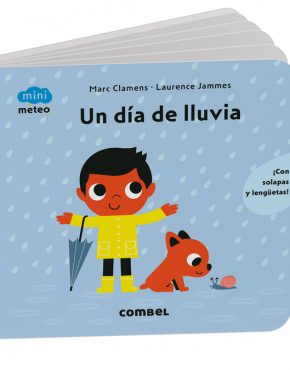 Un día de lluvia